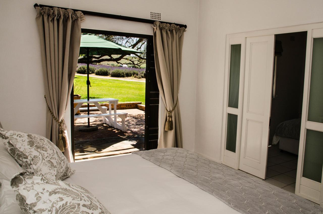 Villa Lavinia Lifestyle Stellenbosch Exterior foto