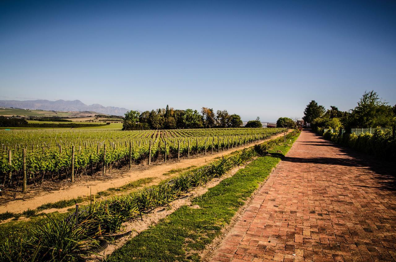 Villa Lavinia Lifestyle Stellenbosch Exterior foto